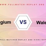 Belgium vs Wales